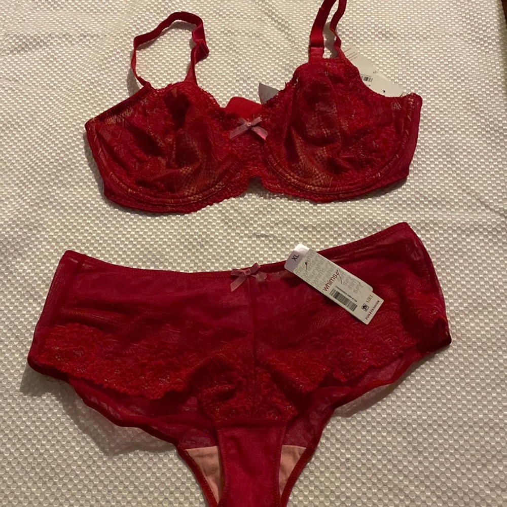 Whimsy bra set Sz 40 D  panty Sz 8 (XL)
